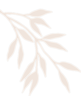 Cansellla Güzellik Salonu